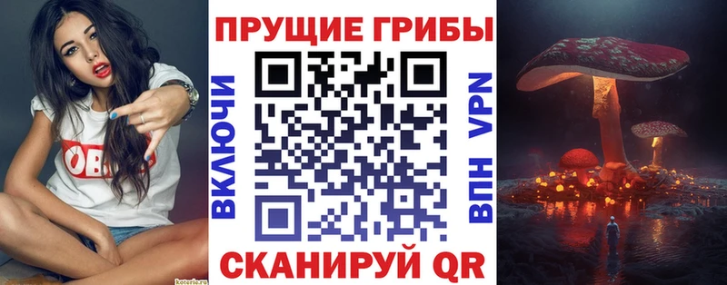 Галлюциногенные грибы мицелий Унеча