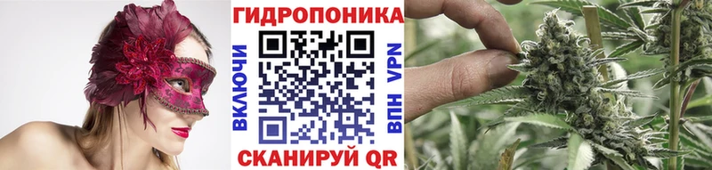 МАРИХУАНА сатива  Унеча 